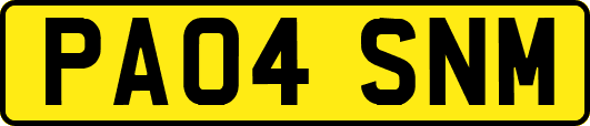 PA04SNM