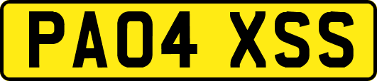 PA04XSS