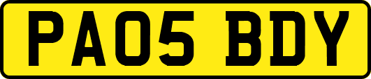 PA05BDY
