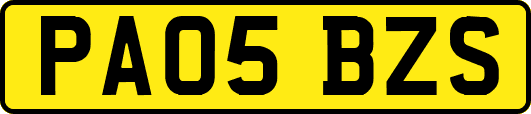 PA05BZS