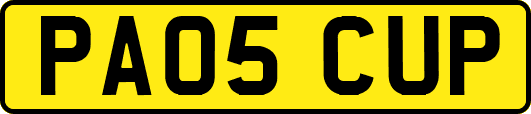 PA05CUP