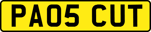 PA05CUT