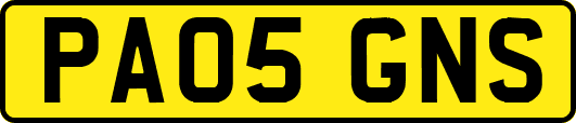PA05GNS
