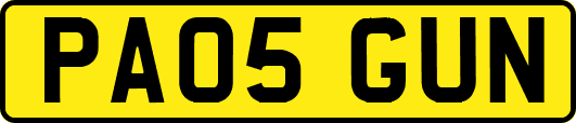 PA05GUN