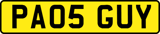 PA05GUY