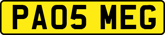 PA05MEG