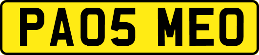 PA05MEO