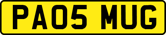PA05MUG