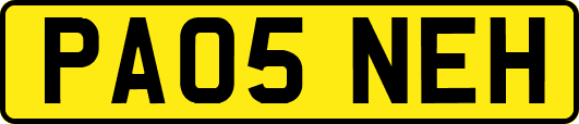 PA05NEH