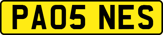 PA05NES