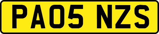 PA05NZS