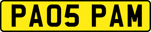 PA05PAM