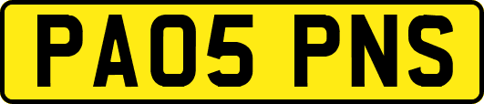 PA05PNS