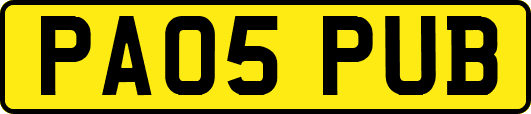 PA05PUB