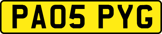 PA05PYG
