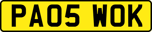 PA05WOK