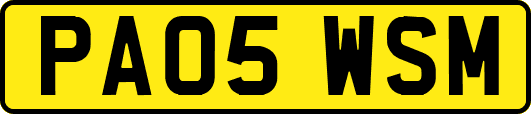PA05WSM