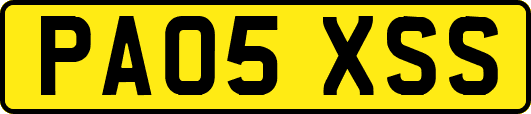 PA05XSS
