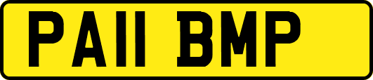 PA11BMP