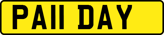 PA11DAY