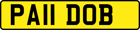 PA11DOB