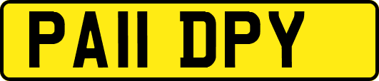 PA11DPY