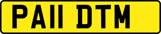 PA11DTM