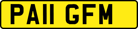 PA11GFM