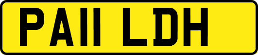 PA11LDH