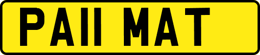 PA11MAT