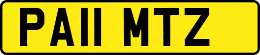 PA11MTZ