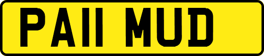 PA11MUD