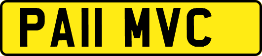 PA11MVC