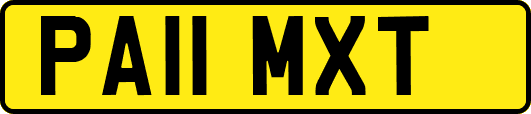 PA11MXT