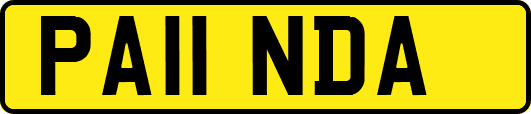 PA11NDA