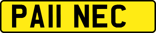PA11NEC
