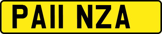 PA11NZA