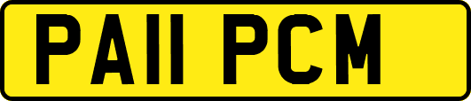 PA11PCM