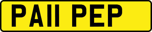 PA11PEP