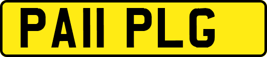 PA11PLG
