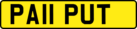 PA11PUT