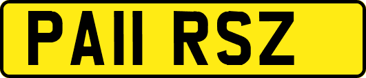 PA11RSZ