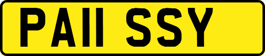 PA11SSY