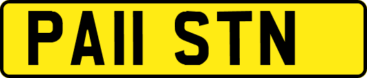 PA11STN