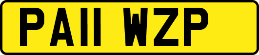 PA11WZP