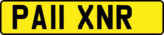 PA11XNR
