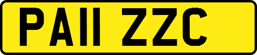 PA11ZZC