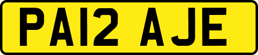 PA12AJE