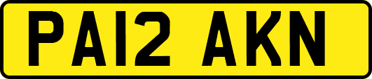 PA12AKN