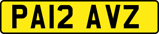 PA12AVZ